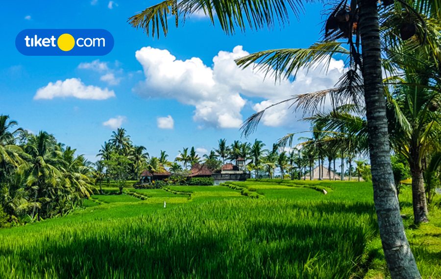 Kenapa Ubud Bisa Menjadi Salah Satu Kota Terbaik Dunia? Ini Alasannya!