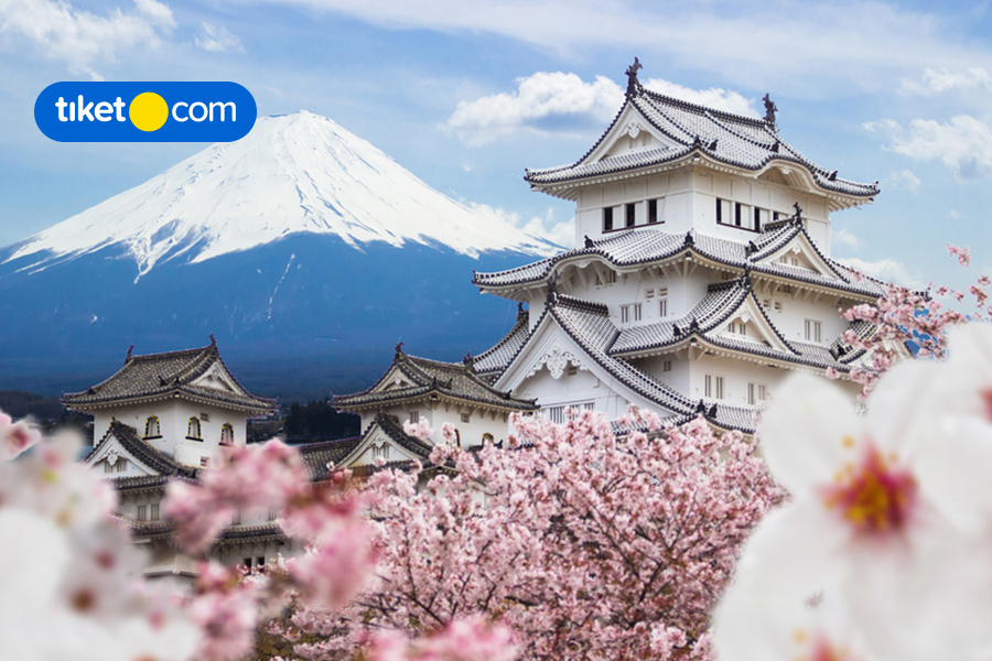 8 Most Captivating Destinations to Visit in Tokyo