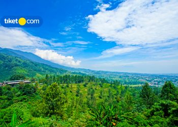 Villa dan Hotel Instagramable di Puncak