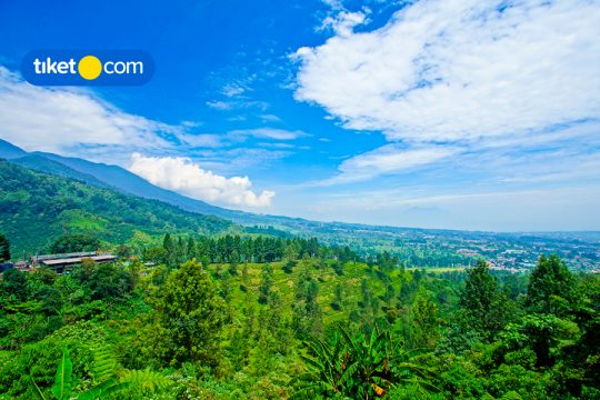 Villa dan Hotel Instagramable di Puncak