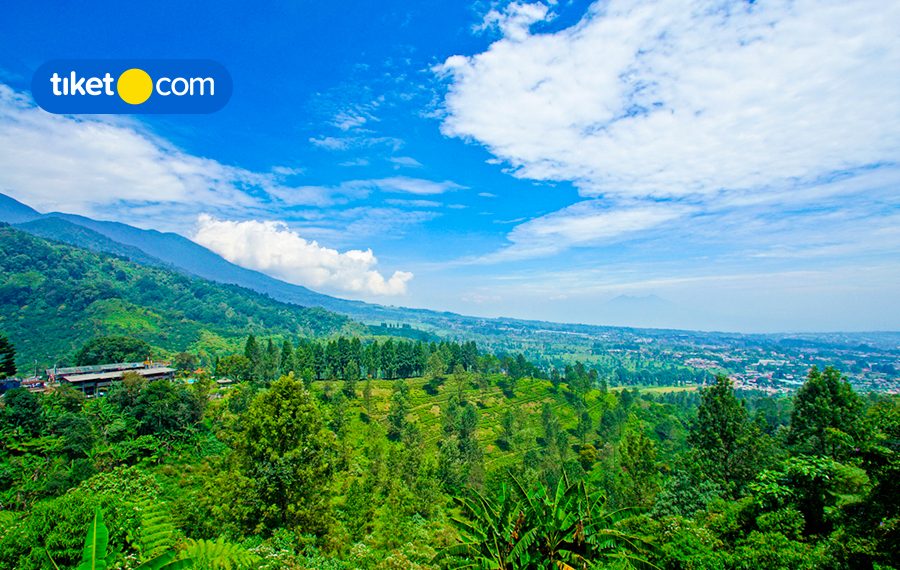Villa dan Hotel Instagramable di Puncak
