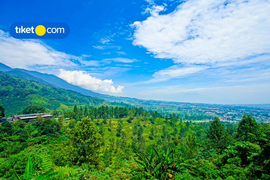 Rekomendasi Villa dan Hotel Instagramable di Puncak untuk Staycation