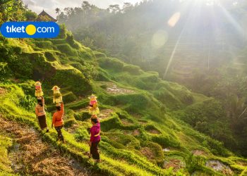 The Other Side of Bali: Unique and Unusual Things to Explore in Bali
