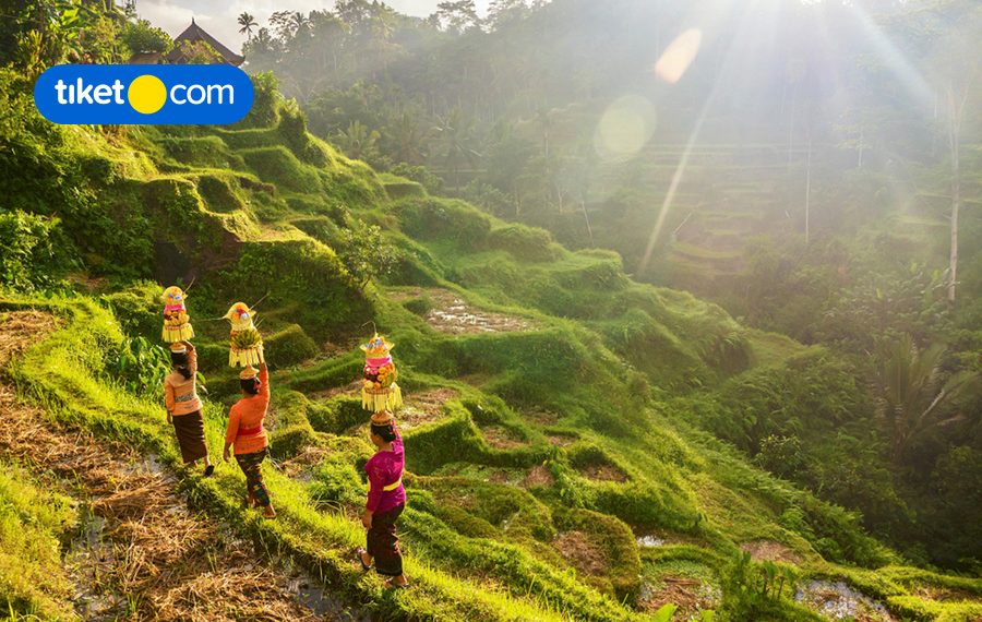 The Other Side of Bali: Unique and Unusual Things to Explore in Bali