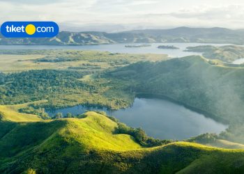 hotel terbaik di jayapura