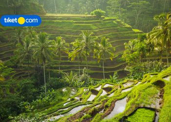 Ingin Menginap di Villa Jogja Rasa Bali? Bisa Banget!