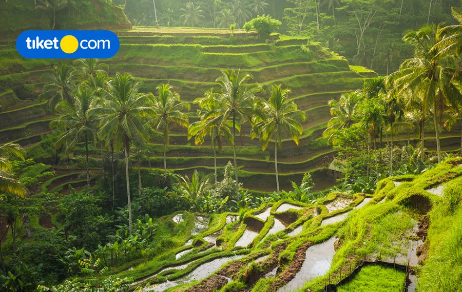 Ingin Menginap di Villa Jogja Rasa Bali? Bisa Banget!