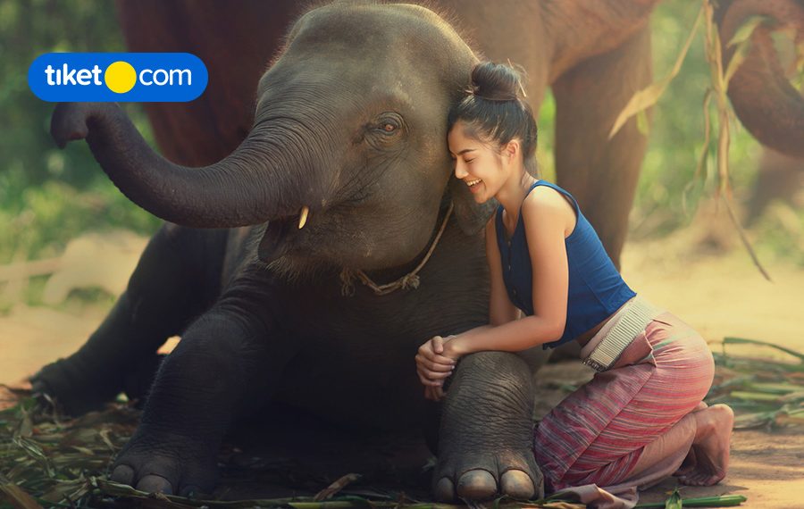 5 Best Destinations to Discover the Wildlife Side of Bali!