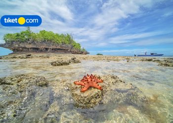 Mengenal Morotai Lebih Dekat, Berikut 10 Keindahannya yang Wajib Kamu Tahu!