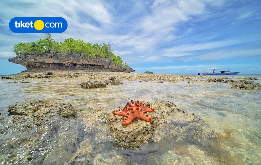 Mengenal Morotai Lebih Dekat, Berikut 10 Keindahannya yang Wajib Kamu Tahu!