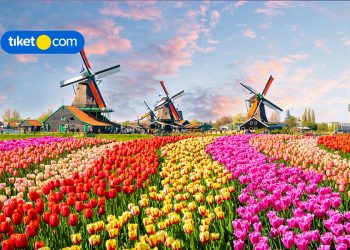 7 Awesome Things You’ll Find Only in Amsterdam