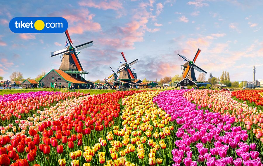 7 Awesome Things You’ll Find Only in Amsterdam