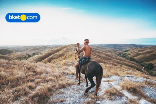 nature movies indonesia