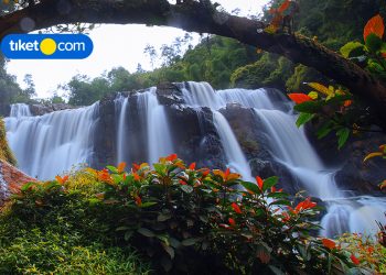 Tempat Wisata Ngehits di Bandung Barat, Wajib Masuk Wishlist!