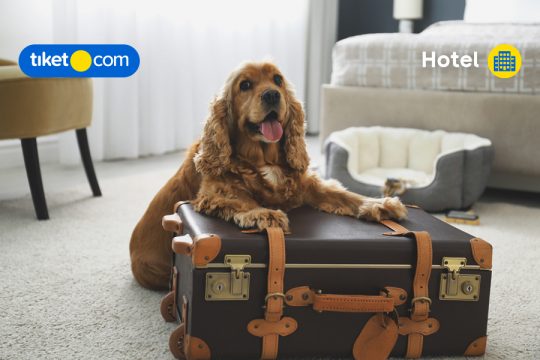 Hotel yang Pet-Friendly