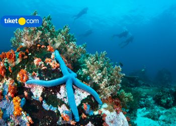 6 Top Natural Wonders You Can Find Around Manado, North Sulawesi
