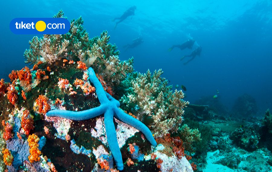 6 Top Natural Wonders You Can Find Around Manado, North Sulawesi