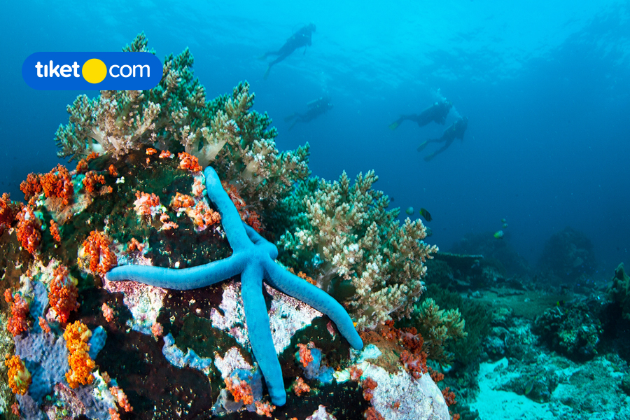 6 Top Natural Wonders You Can Find Around Manado, North Sulawesi