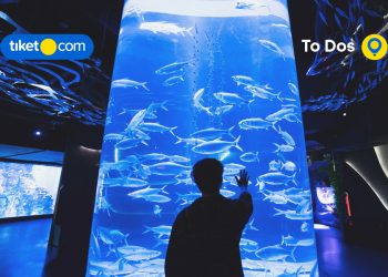 Jakarta Aquarium Safari