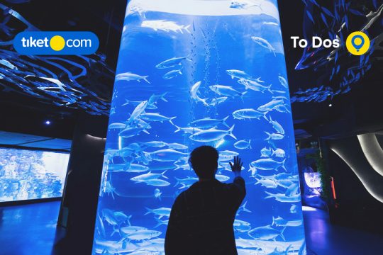 Jakarta Aquarium Safari