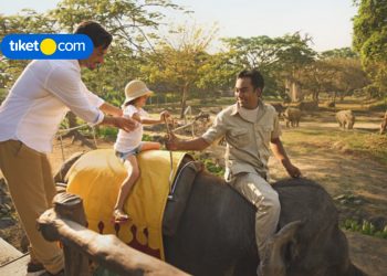 Aktivitas Seru di Bali Safari Marine Park Bareng Keluarga, Kuy Cobain!