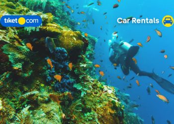 Best Snorkeling and Diving Sites to Witness Labuan Bajo’s Underwater Beauty