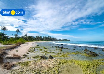 pantai di medan