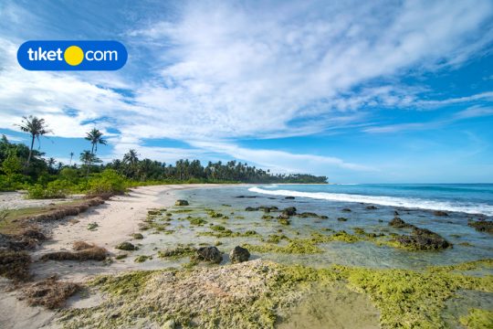 pantai di medan