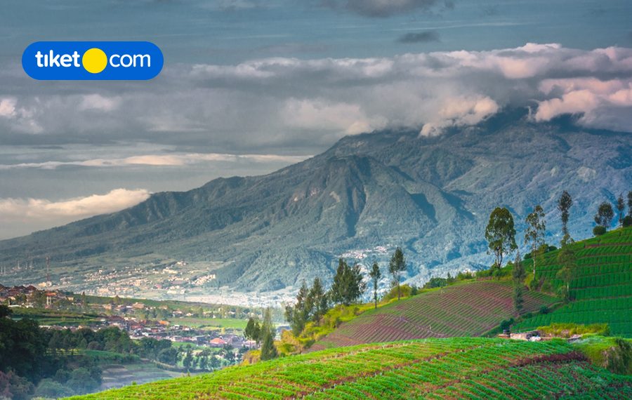 5 Days 4 Nights Batu and Malang Itinerary for a Memorable Family Vacay!