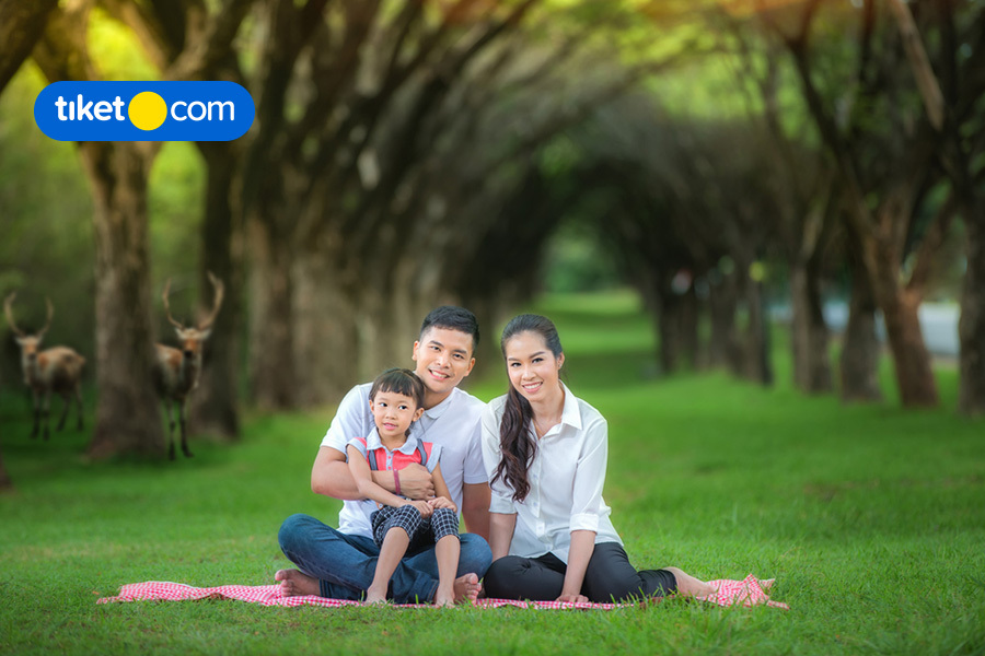 Liburan ke Bandung? Ayo, Kunjungi Taman Wisata yang Indah ini! 