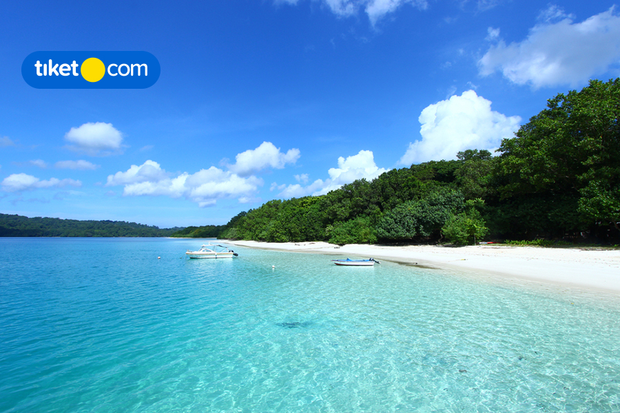 A Hidden Heaven in Ujung Kulon, Let’s Explore Peucang Island!