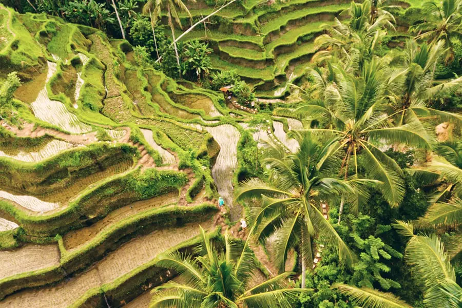 Flashpacking-Bali