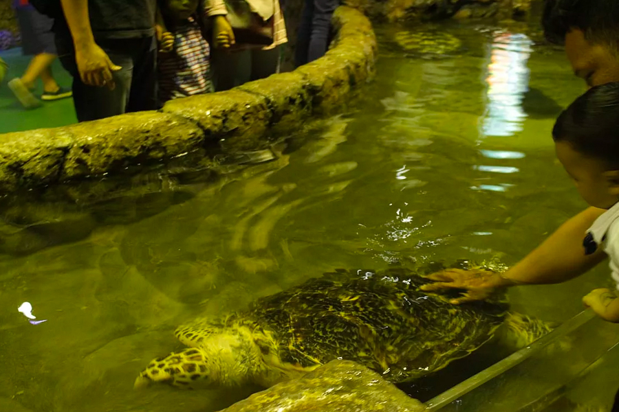 Sea World Ancol