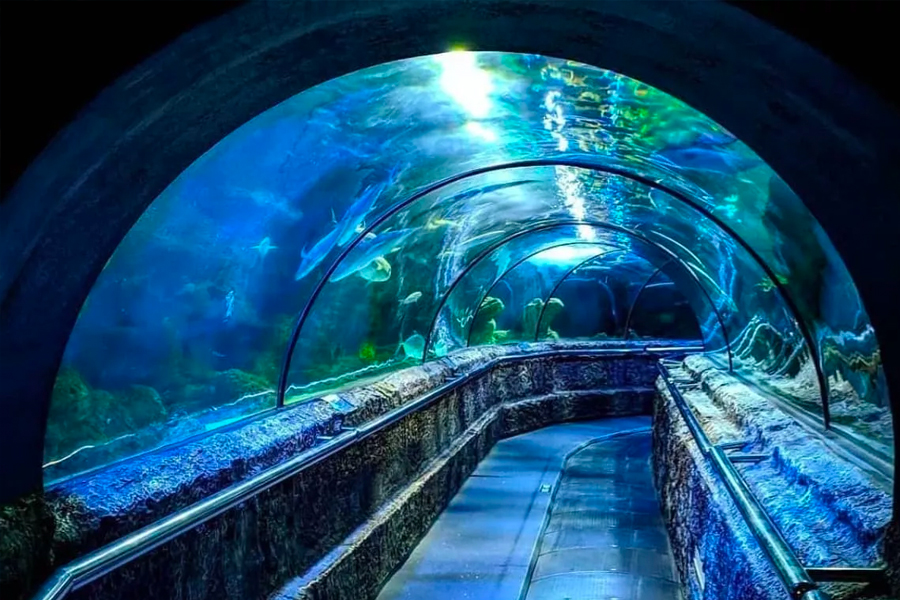 Sea World Ancol
