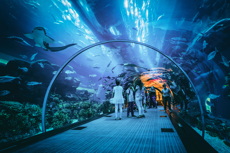 Sea World Ancol