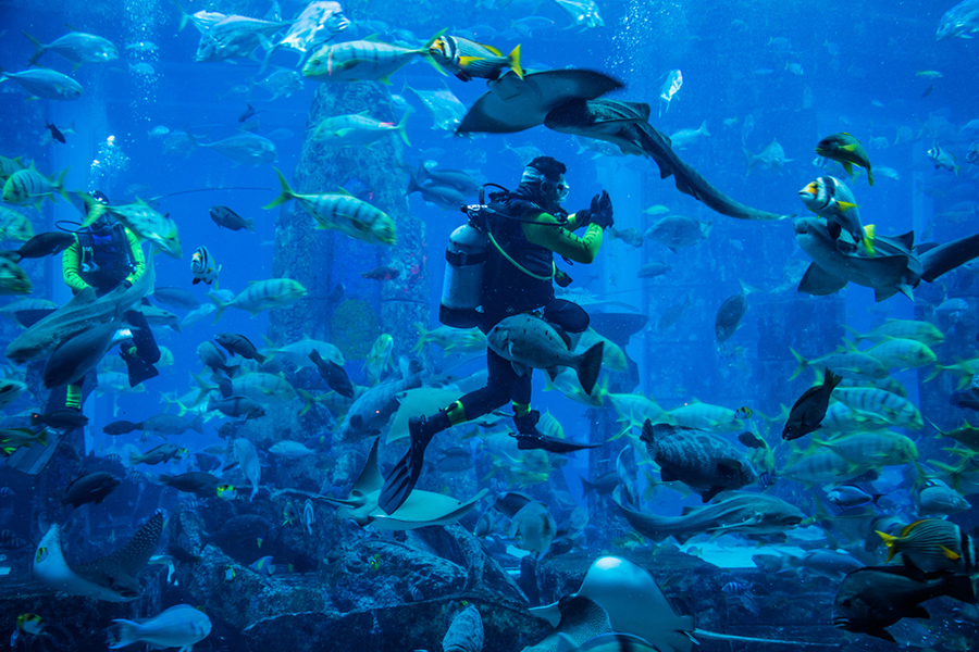 Sea World Ancol
