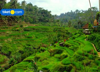 Hidden Gems di Gianyar, Bali yang Harus Kamu Temukan Sekarang