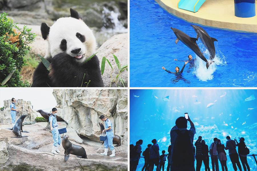 Hong Kong Bucket List