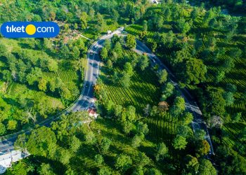 rekomendasi hotel instagrammable di puncak