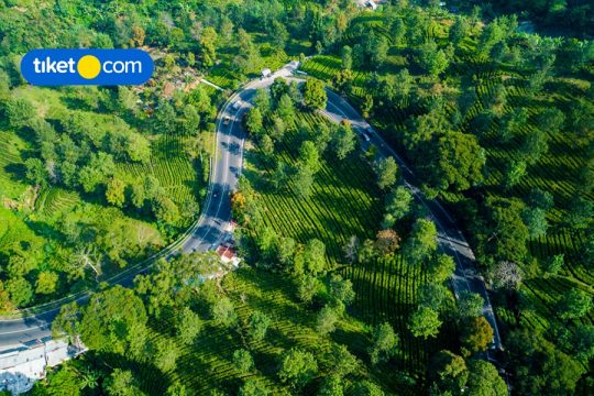 rekomendasi hotel instagrammable di puncak