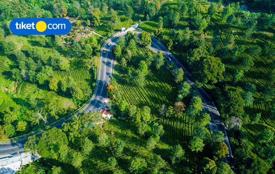 rekomendasi hotel instagrammable di puncak