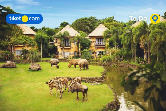 Ide Aktivitas Outdoor di Bali