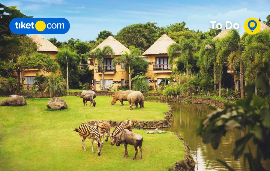 Ide Aktivitas Outdoor di Bali