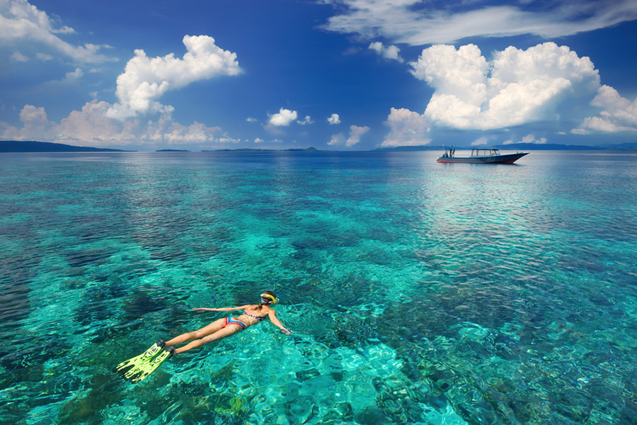 Pemandangan Bawah Laut di Indonesia