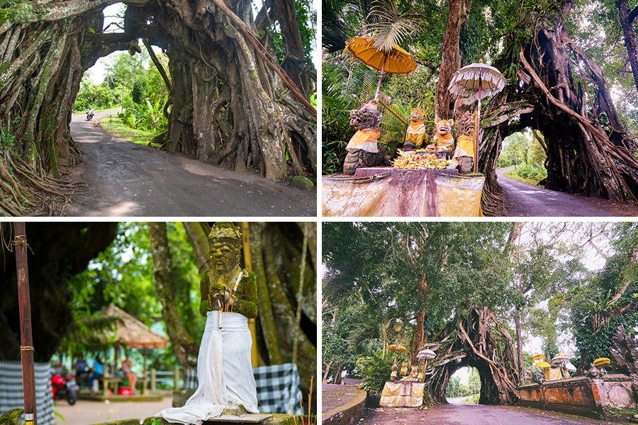 Destinasi wisata di Bali Barat