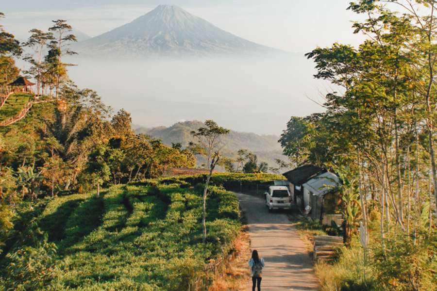 Desa Wisata di Jogja - Desa Nglinggo