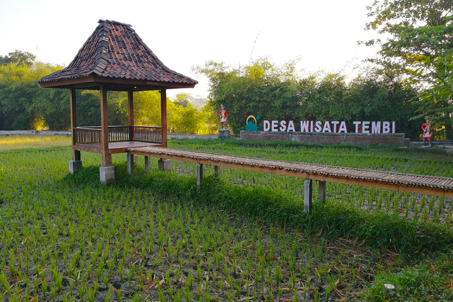 Desa Wisata di Jogja - Desa Tembi