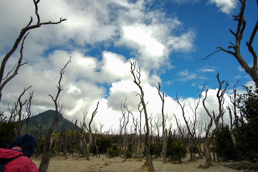 Road Trip Indonesia - Gunung Papandayan