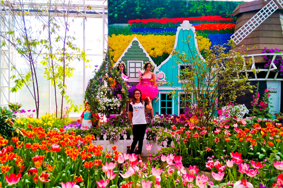 Green House Lezatta