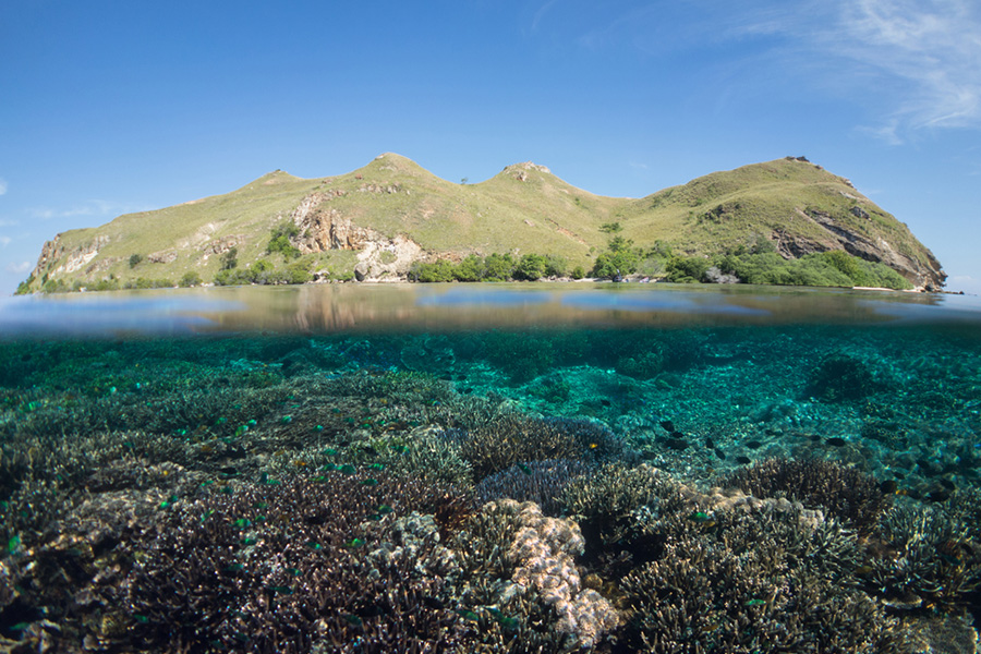 Itinerary Labuan Bajo